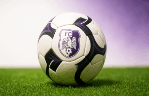 Ce spune Inteligența Artificială despre FC Argeș – Rapid