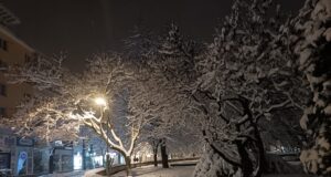 Primarul Gentea în alb și negru