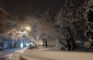 Primarul Gentea în alb și negru