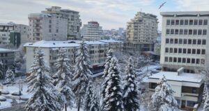 Cei mai frumoși brazi din Pitești sunt tăiați