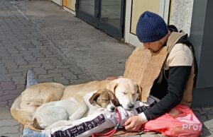 “Băiatul cu câinele” a revenit în Pitești