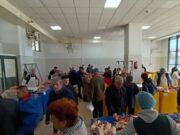 Pitești. Goana după miel