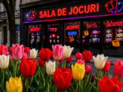 Gentea vrea “Orașul lalelelor” nu al păcănelelor!